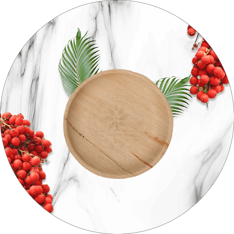 https://sterlingcloud.works/wp-content/uploads/2025/08/true-nature-cover-1.png?t=1759666232